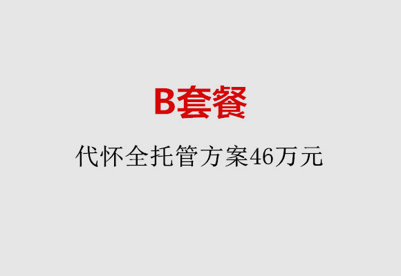 惠州B套餐：代怀全托管方案46万元